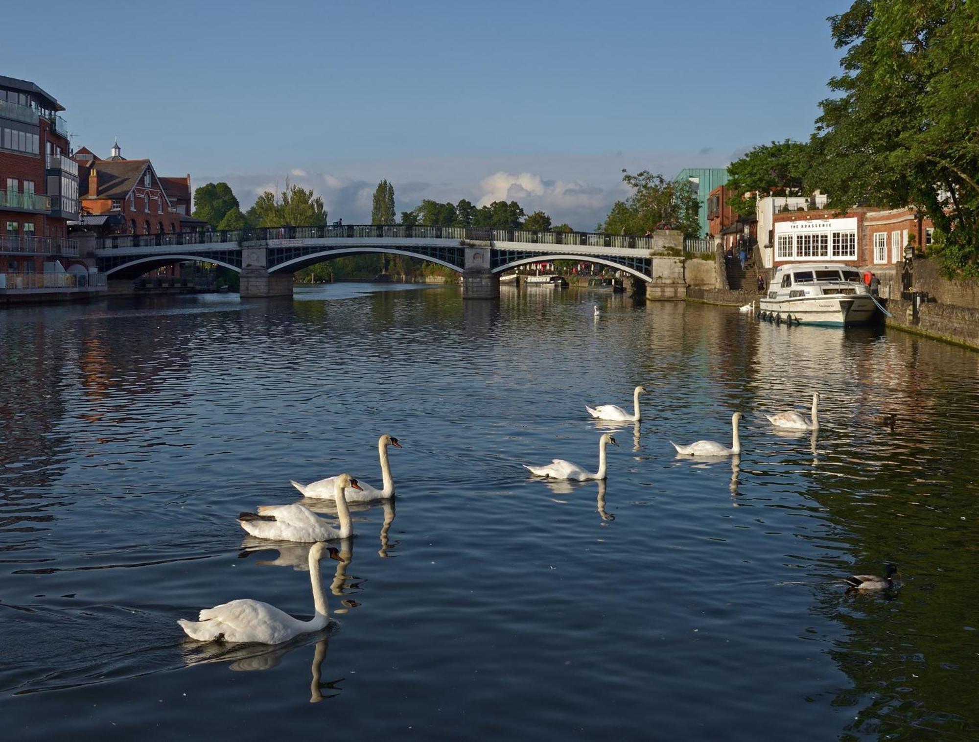 Top Floor En-Suite Double Bedrooms With Great View Of Windsor Castle & Free Parking Екстериор снимка